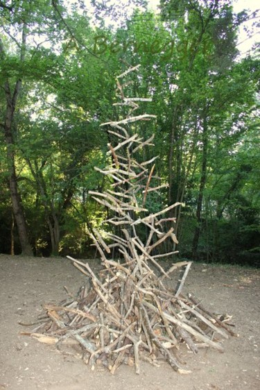 Installation intitulée "Bois volants" par Alain Bernegger, Œuvre d'art originale