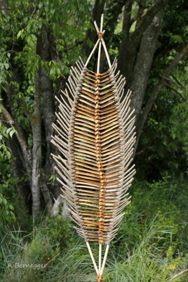 雕塑 标题为“plume du ciel” 由Alain Bernegger, 原创艺术品, 木