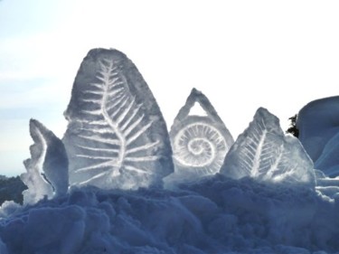 Fotografía titulada "Fougères de neige" por Alain Bernegger, Obra de arte original, Fotografía digital