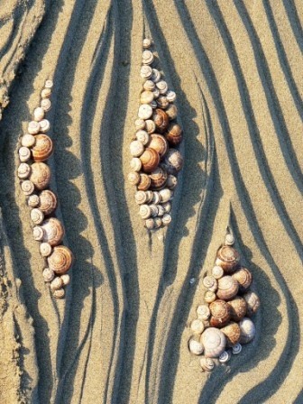 Installation intitulée "Vulves de sable" par Alain Bernegger, Œuvre d'art originale