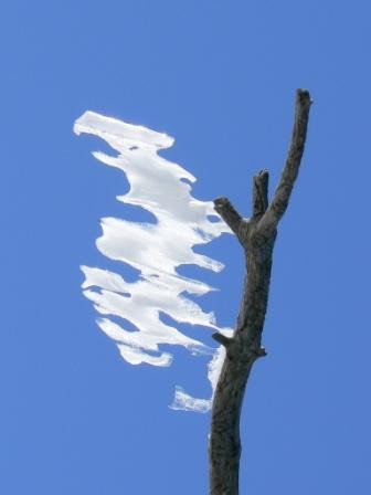 Installation intitulée "Plume de glace" par Alain Bernegger, Œuvre d'art originale