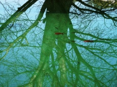 Photographie intitulée "l'arbre à poissons" par Alain Bernegger, Œuvre d'art originale