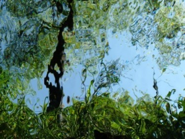 Fotografia intitolato "Vert d'eau" da Alain Bernegger, Opera d'arte originale