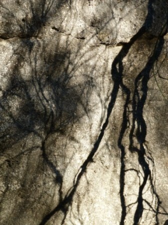 Photographie intitulée "Lignes d'ombres" par Alain Bernegger, Œuvre d'art originale