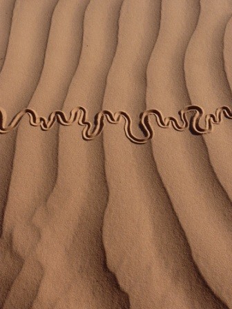 Installation intitulée "serpent des sables…" par Alain Bernegger, Œuvre d'art originale