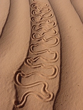 Installation intitulée "Lacet de sable" par Alain Bernegger, Œuvre d'art originale