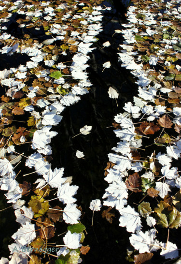 Installation intitulée "canal de feuilles" par Alain Bernegger, Œuvre d'art originale