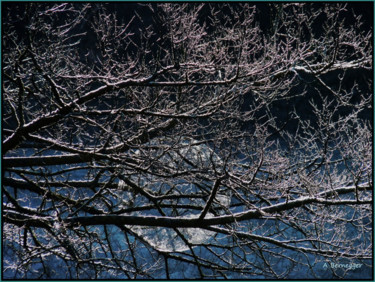 Installation intitulée "lune et branches" par Alain Bernegger, Œuvre d'art originale