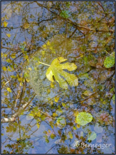 Photographie intitulée "Feuille et reflet" par Alain Bernegger, Œuvre d'art originale