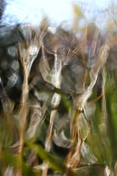 Photographie intitulée "Jardin floue" par Alain Bernegger, Œuvre d'art originale