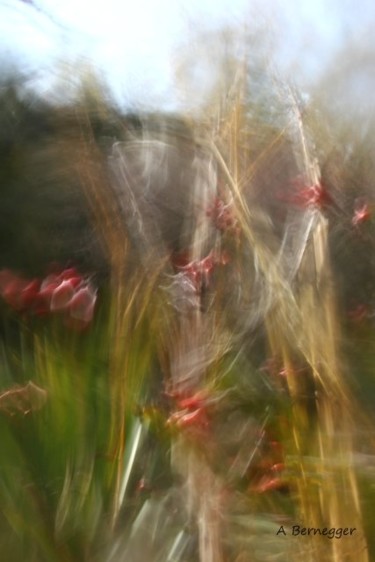 Installation intitulée "Jardin floue" par Alain Bernegger, Œuvre d'art originale