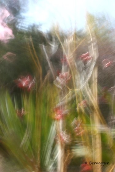 Photographie intitulée "Jardin floue" par Alain Bernegger, Œuvre d'art originale
