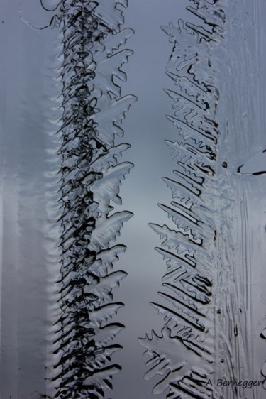 Installation intitulée "Fougères de glace" par Alain Bernegger, Œuvre d'art originale