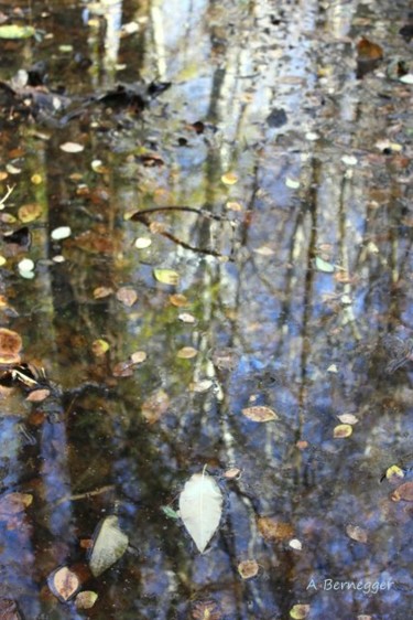 Installation intitulée "Reflet et feuilles" par Alain Bernegger, Œuvre d'art originale