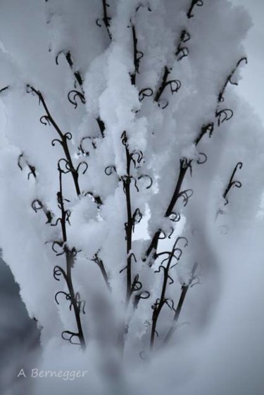 Aufbau mit dem Titel "Végétaux et neige" von Alain Bernegger, Original-Kunstwerk