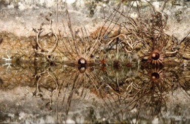 Installation intitulée "Végétaux et reflet" par Alain Bernegger, Œuvre d'art originale