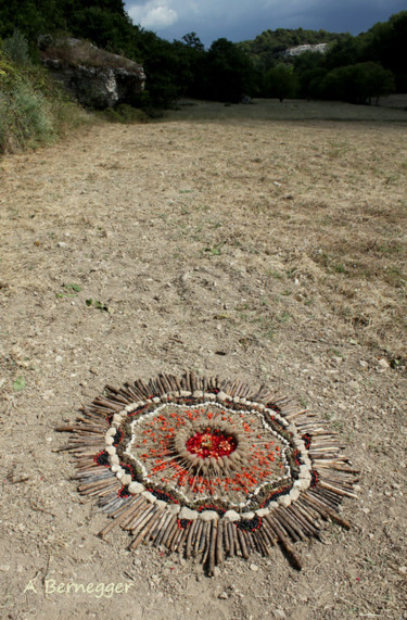 Installation intitulée "Création au sol" par Alain Bernegger, Œuvre d'art originale