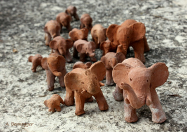 Fotografie mit dem Titel "éléphants" von Alain Bernegger, Original-Kunstwerk