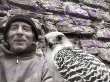 Коллажи под названием "Gyrfalcon…vanessa&i…" - Bernie Spielmann, Подлинное произведение искусства, Акрил