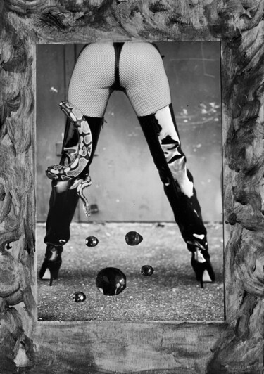 Colagens intitulada "Sex…Nikon power5" por Bernie Spielmann, Obras de arte originais, Acrílico