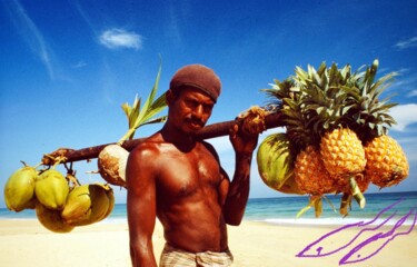 Коллажи под названием "Sri Lanka..coconut…2" - Bernie Spielmann, Подлинное произведение искусства, Акрил