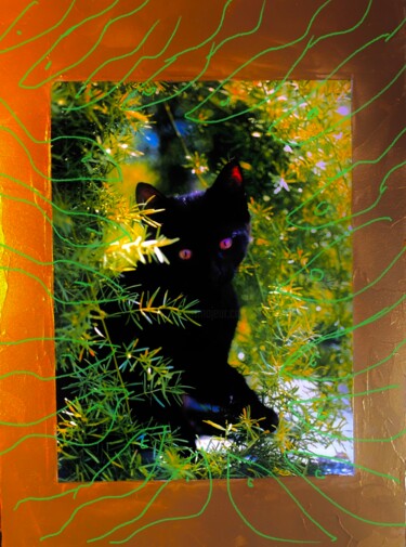 Коллажи под названием "Pussy cat2…wovon di…" - Bernie Spielmann, Подлинное произведение искусства, Акрил