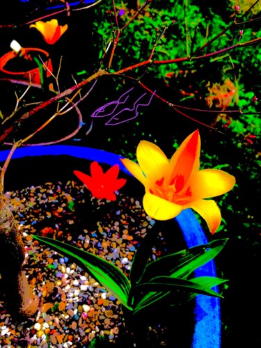 Коллажи под названием "Frühling im Garten…" - Bernie Spielmann, Подлинное произведение искусства, Акрил