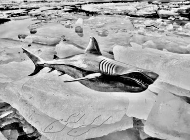 Kolaże zatytułowany „Shark..1.  Donald T…” autorstwa Bernie Spielmann, Oryginalna praca, Akryl