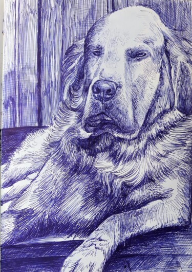 Drawing titled "The Dog Brownie" by Berthold Von Kamptz, Original Artwork, Other