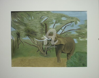 Dessin intitulée "ELEPHANT D 'AFRIQUE" par Bertrand Lhermenier, Œuvre d'art originale, Pastel Monté sur Carton