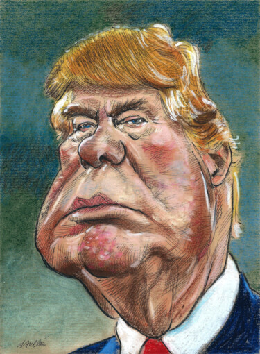 Disegno intitolato "Donald Trump" da Bertrand Daullé, Opera d'arte originale, Matite colorate