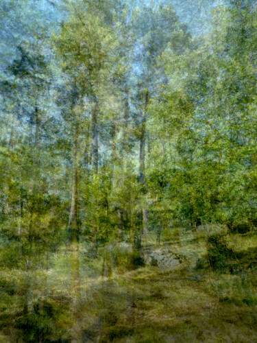 Photographie intitulée "L'Arboretum d'Ailhon" par Bertrand Priour, Œuvre d'art originale, Photographie numérique