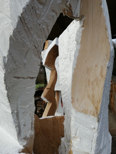 Sculpture titled "Résonnance vue 6" by Bertrand Michaud, Original Artwork, Wood