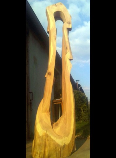 Sculpture intitulée "Lassy-20130402-0080…" par Bertrand Michaud, Œuvre d'art originale