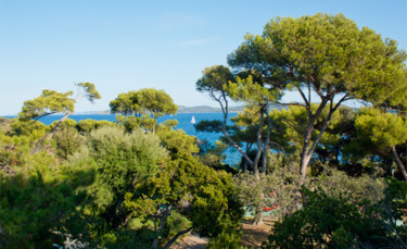 Φωτογραφία με τίτλο "vue de la méditerra…" από Christine Bessieres, Αυθεντικά έργα τέχνης