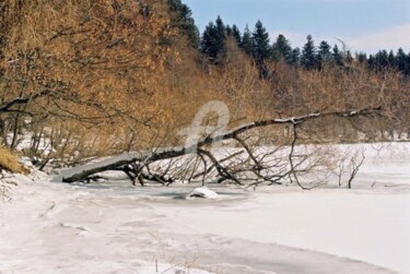 Photographie intitulée "paysage de glace" par Michel Bettendroffer, Œuvre d'art originale