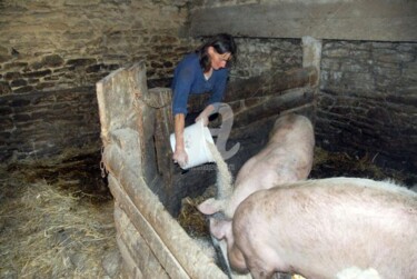 Photographie intitulée "la ferme de Bretagn…" par Michel Bettendroffer, Œuvre d'art originale