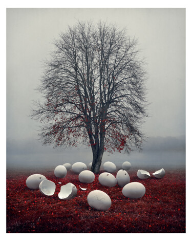 Fotografía titulada "Hibernation 1/3" por Bettina Dupont, Obra de arte original, Fotografía manipulada