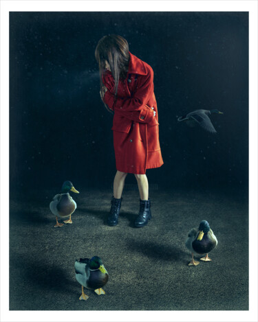 Photographie intitulée "Un froid de canard…" par Bettina Dupont, Œuvre d'art originale, Photographie manipulée