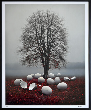 Fotografia intitolato "Hibernation 2/3" da Bettina Dupont, Opera d'arte originale, Fotografia digitale