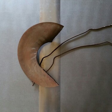 Sculpture titled "tableau sculpture O…" by Béatrice Choury, Original Artwork, Metals
