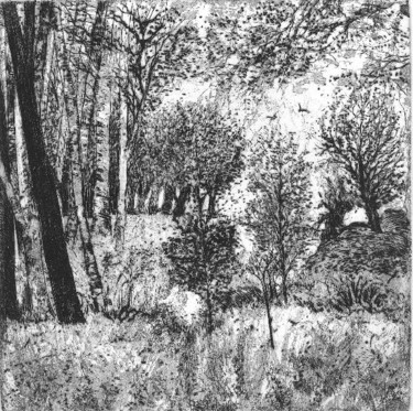 Dessin intitulée "" Paysage de forêt…" par Abol, Œuvre d'art originale