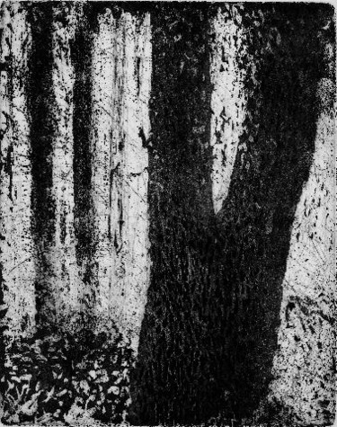 Dessin intitulée ""L'arbre et  la lum…" par Abol, Œuvre d'art originale