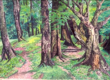 Painting titled "The Everglade" by Bhagvati Nath, Original Artwork, Other