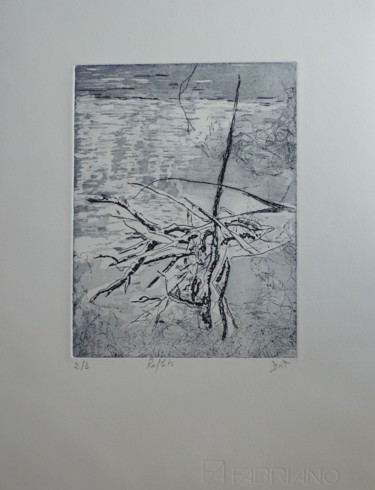 Incisioni, stampe intitolato "Reflets" da Brigitte Bibard-Guillon, Opera d'arte originale, Acquaforte