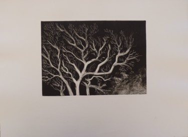 Druckgrafik mit dem Titel "Arbre" von Brigitte Bibard-Guillon, Original-Kunstwerk, Monotypie