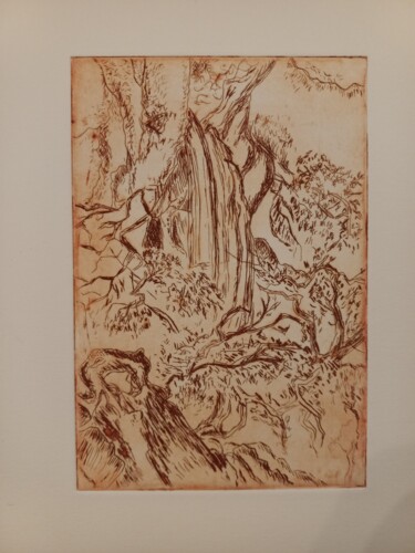 Incisioni, stampe intitolato "La cascade" da Brigitte Bibard-Guillon, Opera d'arte originale, Acquaforte