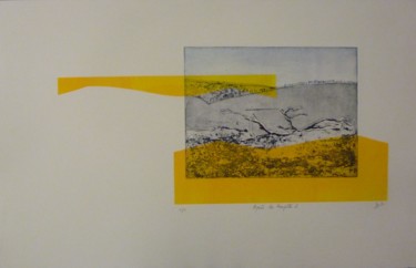 Gravures & estampes intitulée "Après la tempête 2" par Brigitte Bibard-Guillon, Œuvre d'art originale, Eau-forte