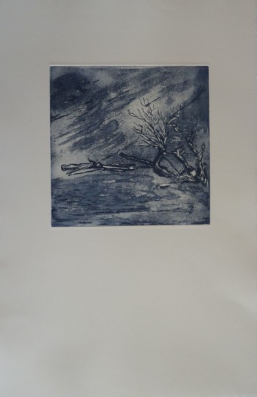 Incisioni, stampe intitolato "Branche sur la plag…" da Brigitte Bibard-Guillon, Opera d'arte originale, Acquaforte