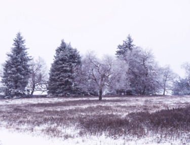 Fotografie getiteld "Winter Landscape 1" door Bilge Paksoylu, Origineel Kunstwerk, Digitale fotografie